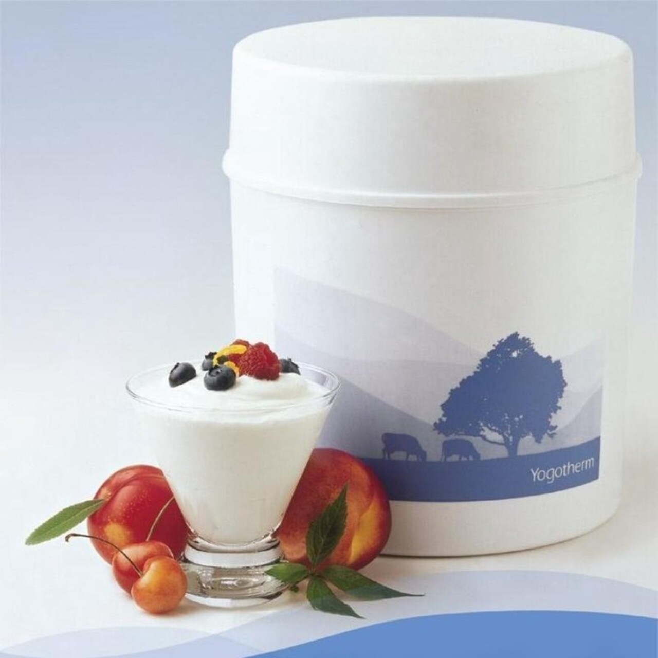 Yogotherm Non Electric Homemade Yogurt Incubator 2 Quart 9 x 8 inch